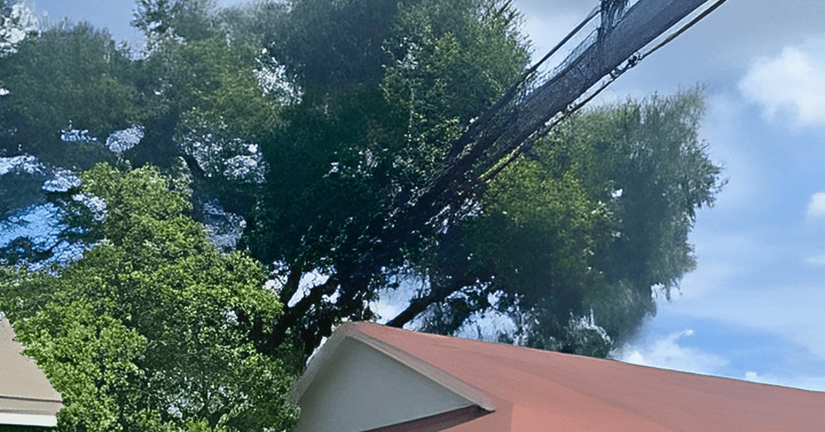An emergency tree leaning toward a residential home after a storm in Jacksonville, FL.