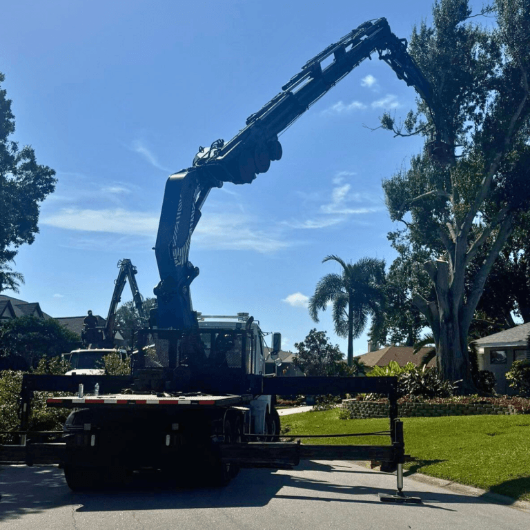 trimming cost jacksonvilel fl
