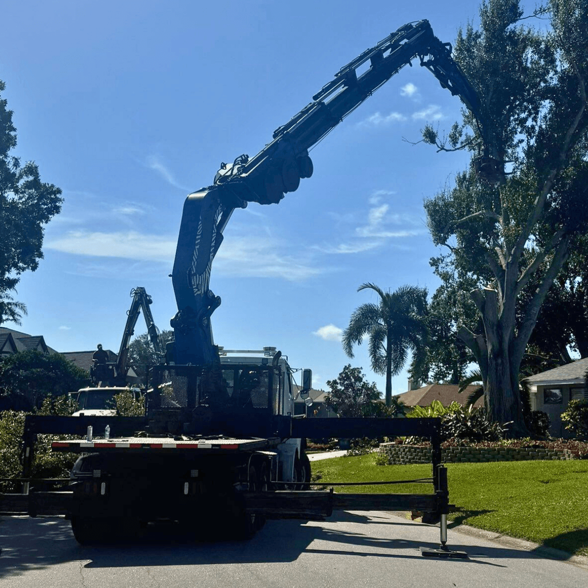 trimming cost jacksonvilel fl
