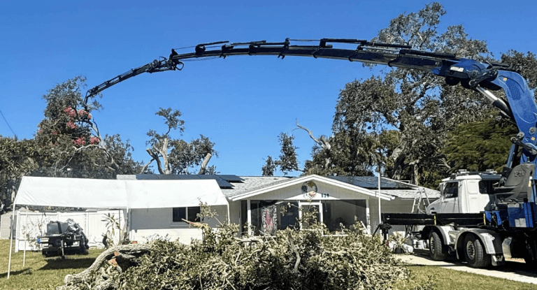 A storm-damaged tree fell on a home in Jacksonville, Florida, after severe weather