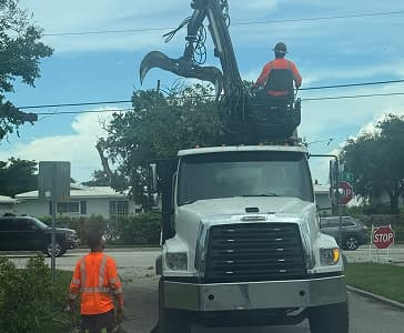 hazardous removals