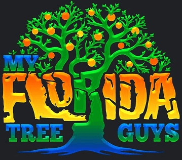 my florida tree guys