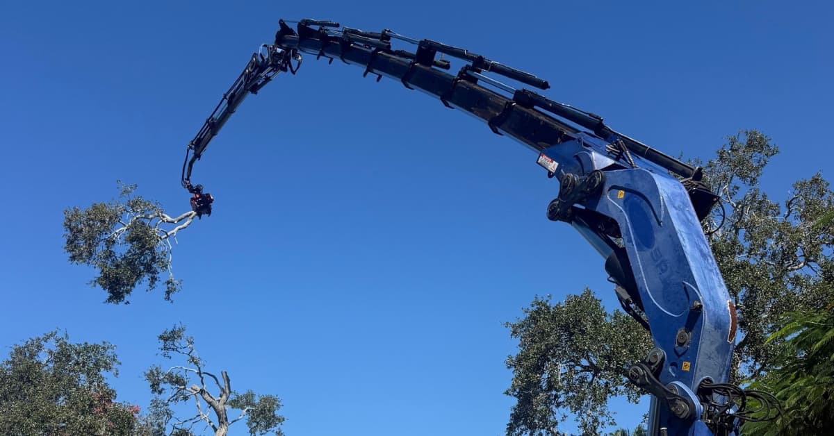 Commercial Tree Services