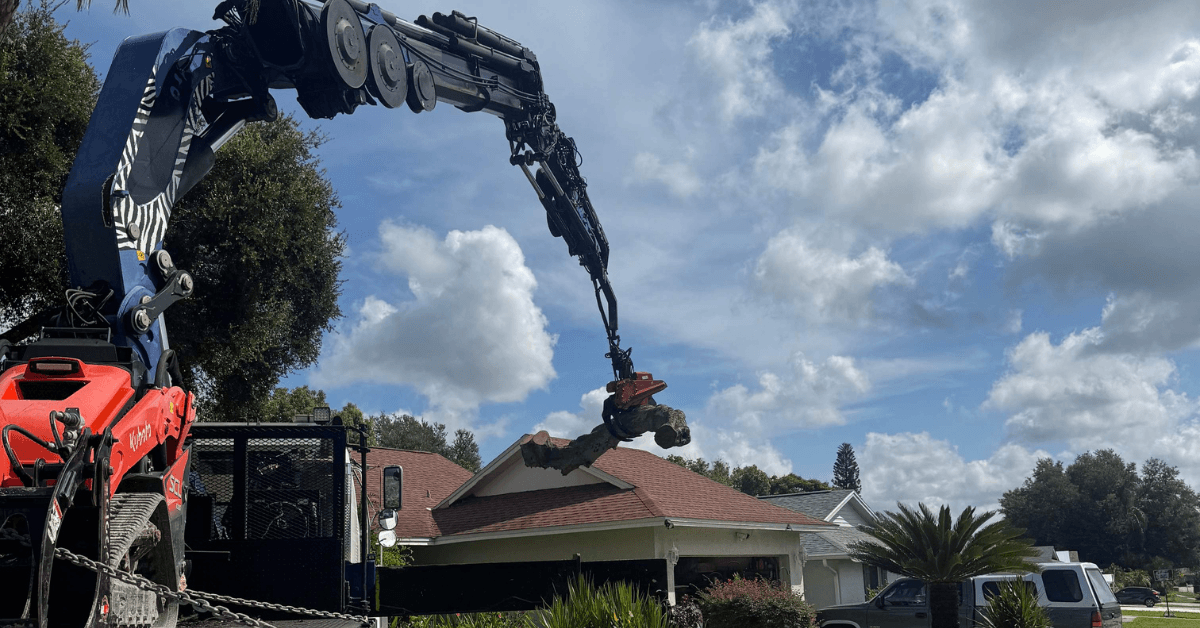 Tree Removal
