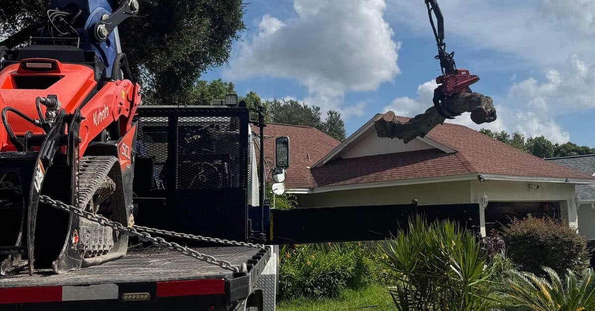 tree service in Duval County, FL