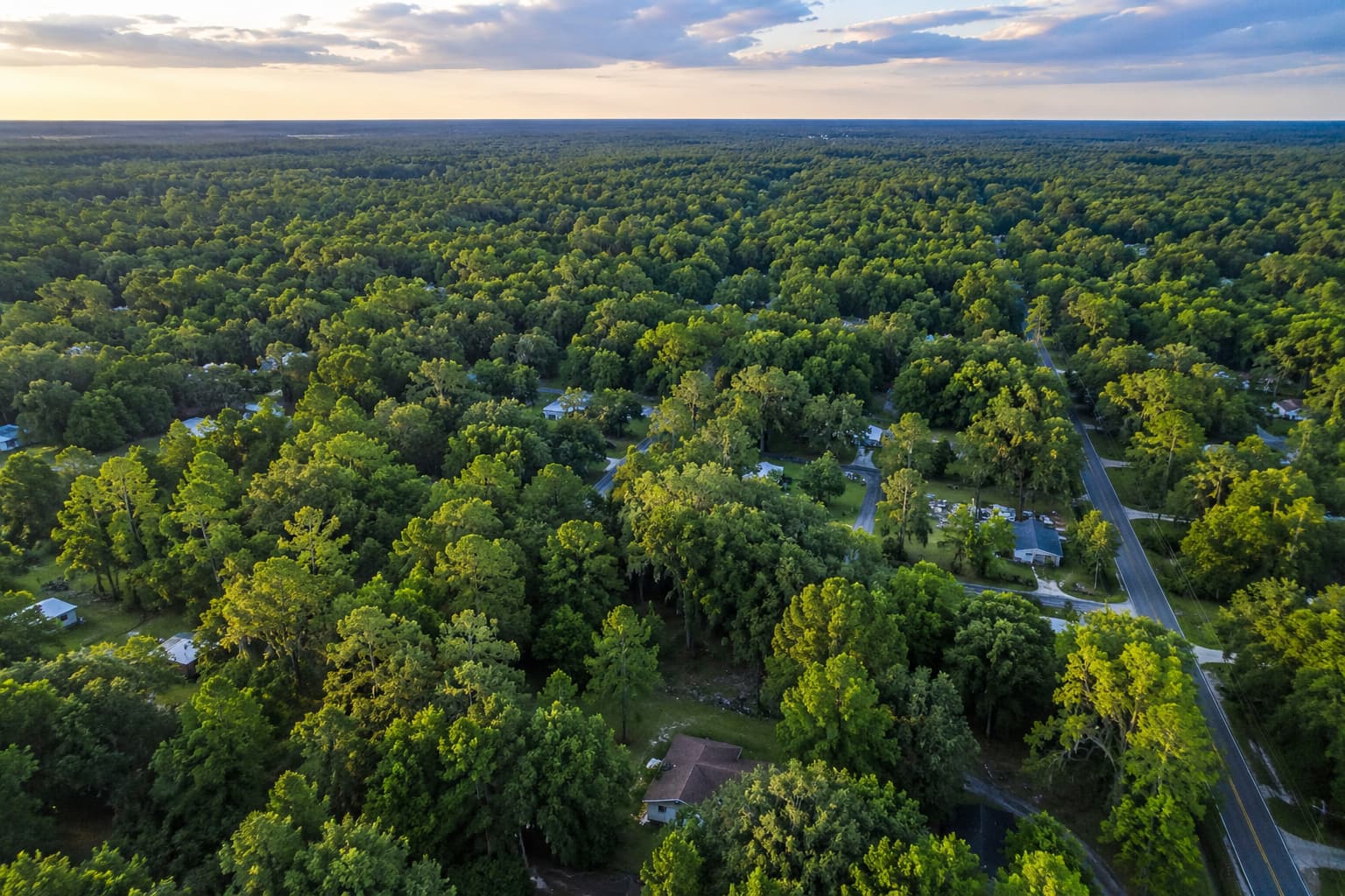 Stunning aerial view of the dense tree canopy in Callahan, Northeast Florida.