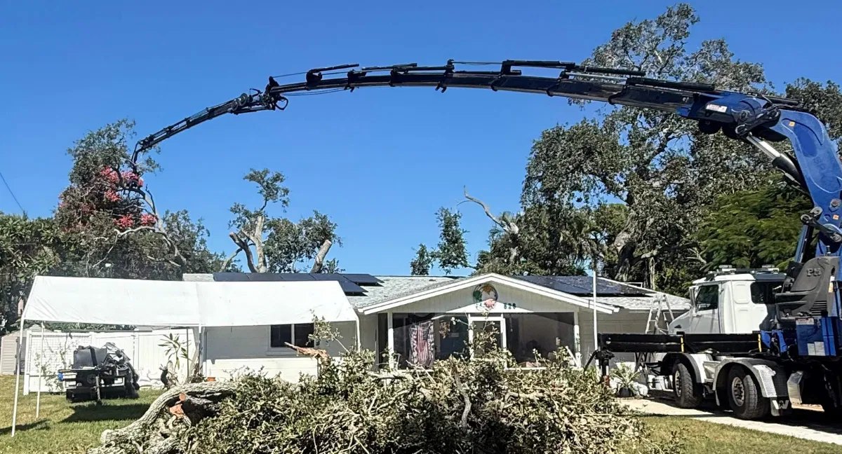 A storm-damaged tree fell on a home in Jacksonville, Florida, after severe weather