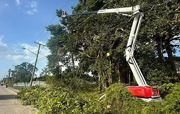Emergency tree service of a storm-damaged Laurel Oak leaning over a residential roof in Jacksonville, FL.