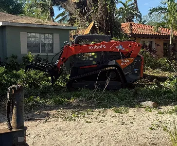 tree services