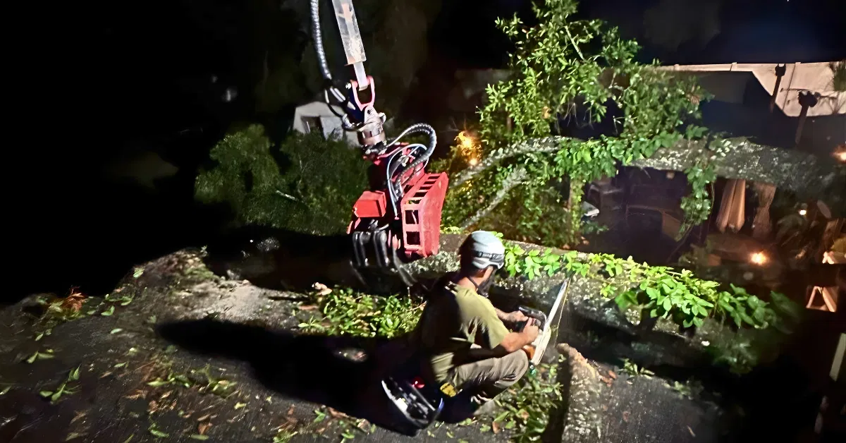 Emergency Tree Service