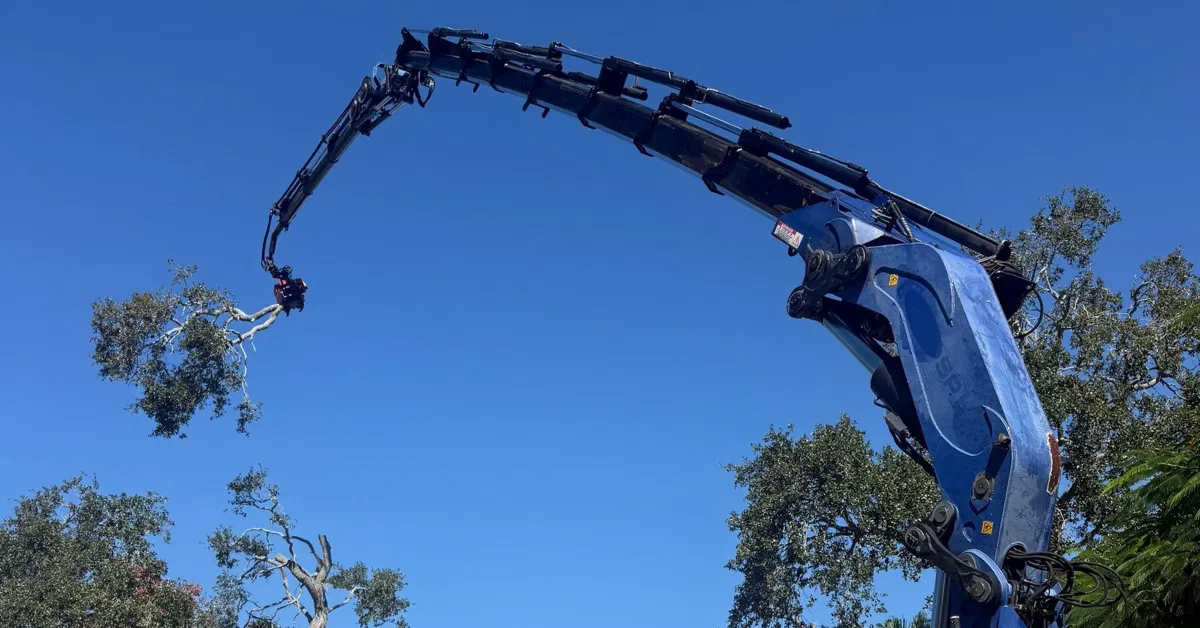 Commercial Tree Services