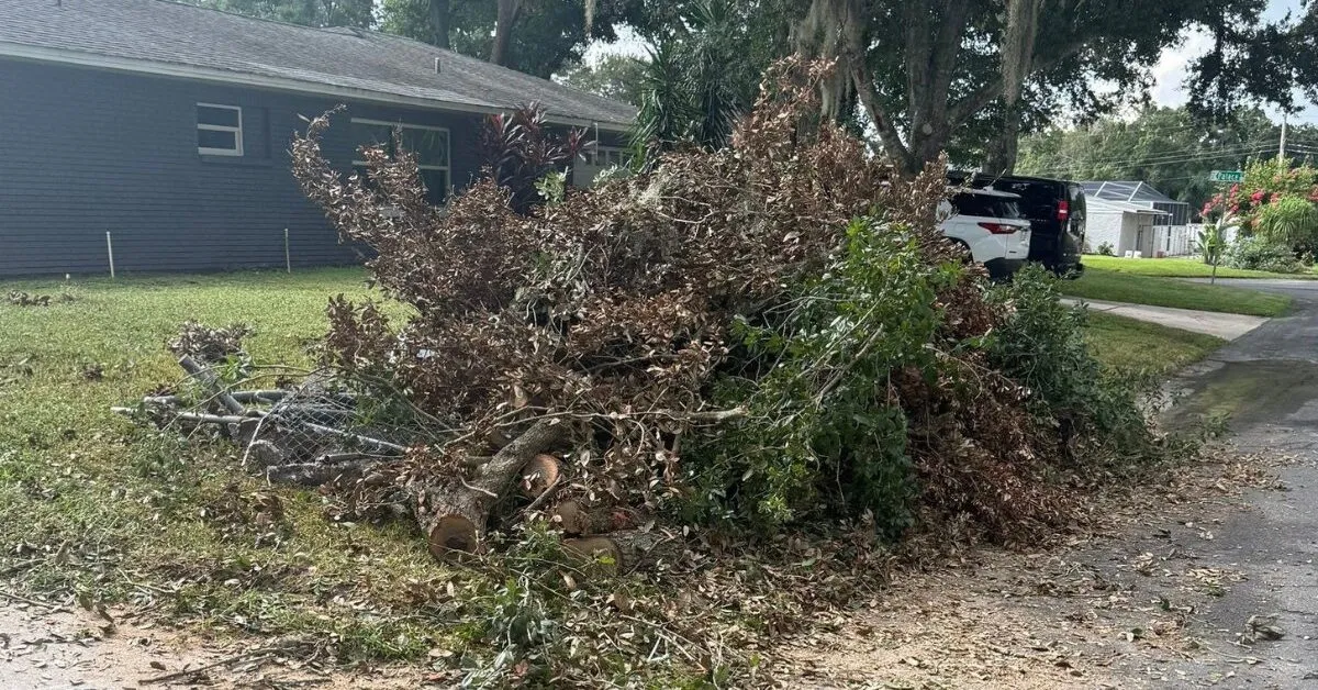 Professional arborists documenting storm tree damage in Nassau County, FL, for insurance claims.