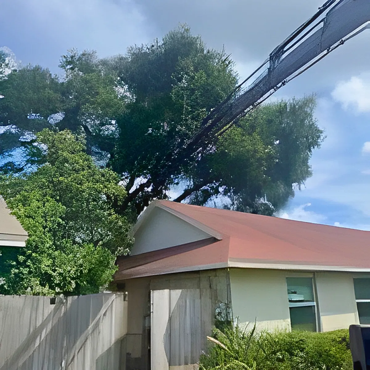tree service clay county fl