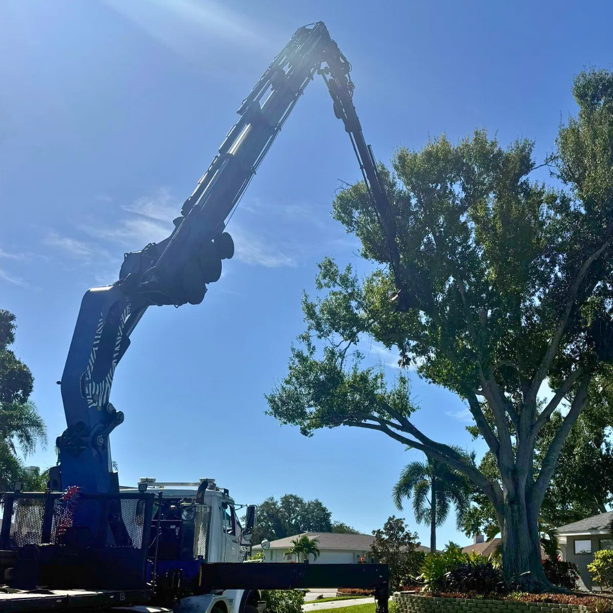 Tree Service in Bradford County, FL
