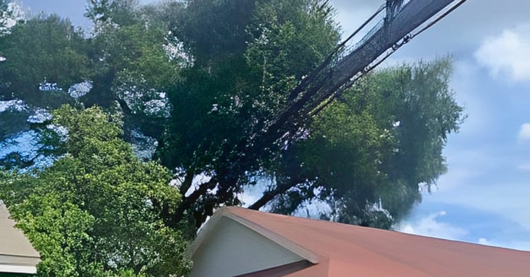 An emergency tree leaning toward a residential home after a storm in Jacksonville, FL.