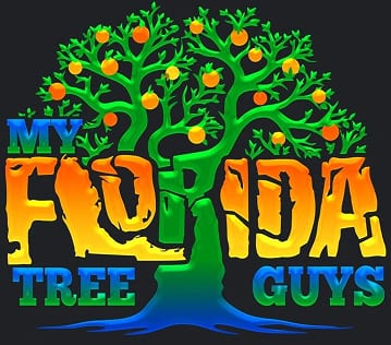 my florida tree guys