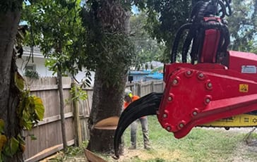 Crane-assisted tree removal by My Florida Tree Guys to safely clear large pines from a tight Jacksonville backyard.