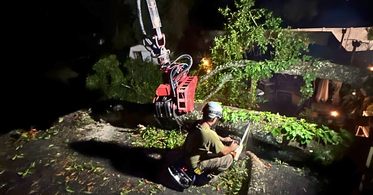Emergency Tree Service